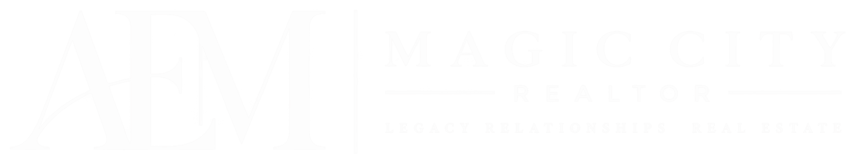 Andy Magic City Realtor
