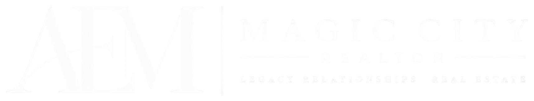 Andy Magic City Realtor